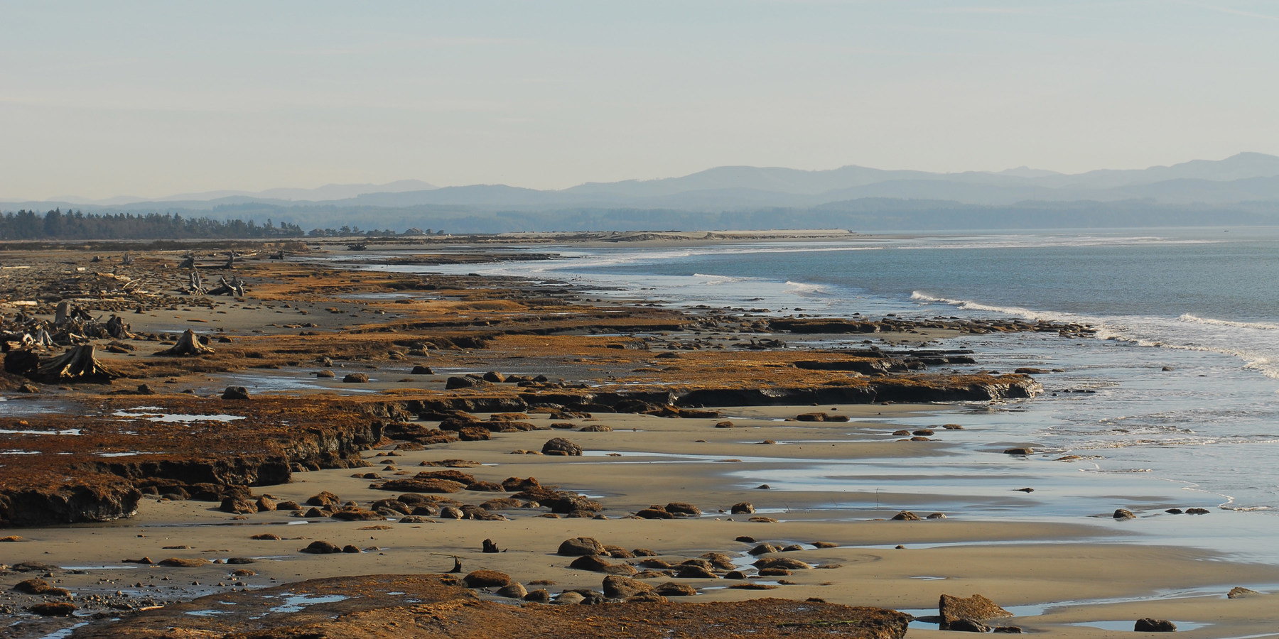 North Cove, Washaway Beach Outdoor Project