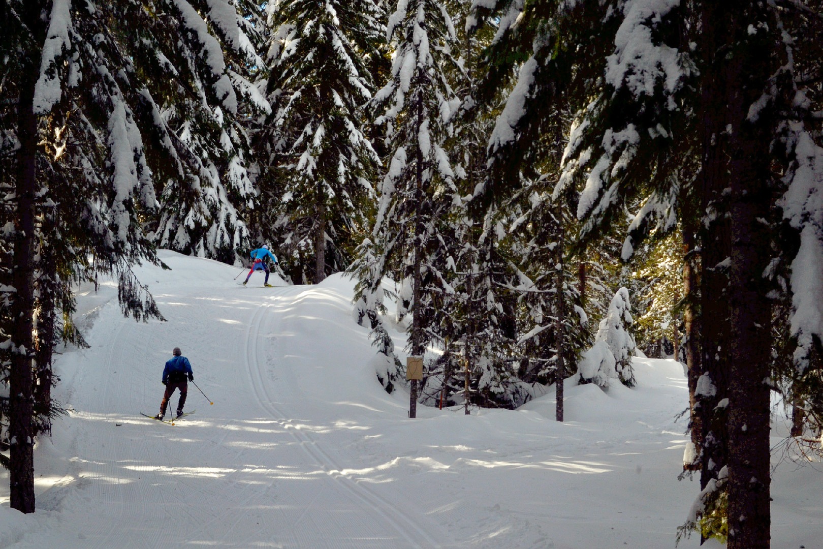 Cabin Creek Nordic Ski Area Outdoor Project