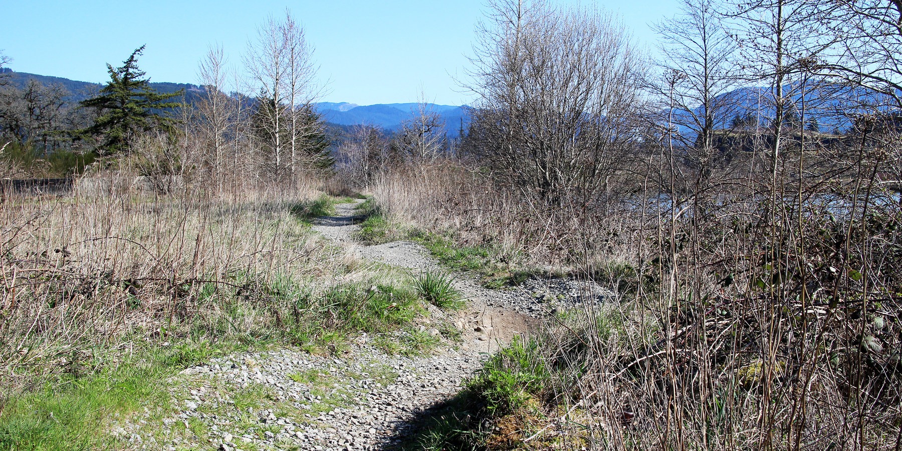 Cascade Locks Mountain Bike Trails Outdoor Project