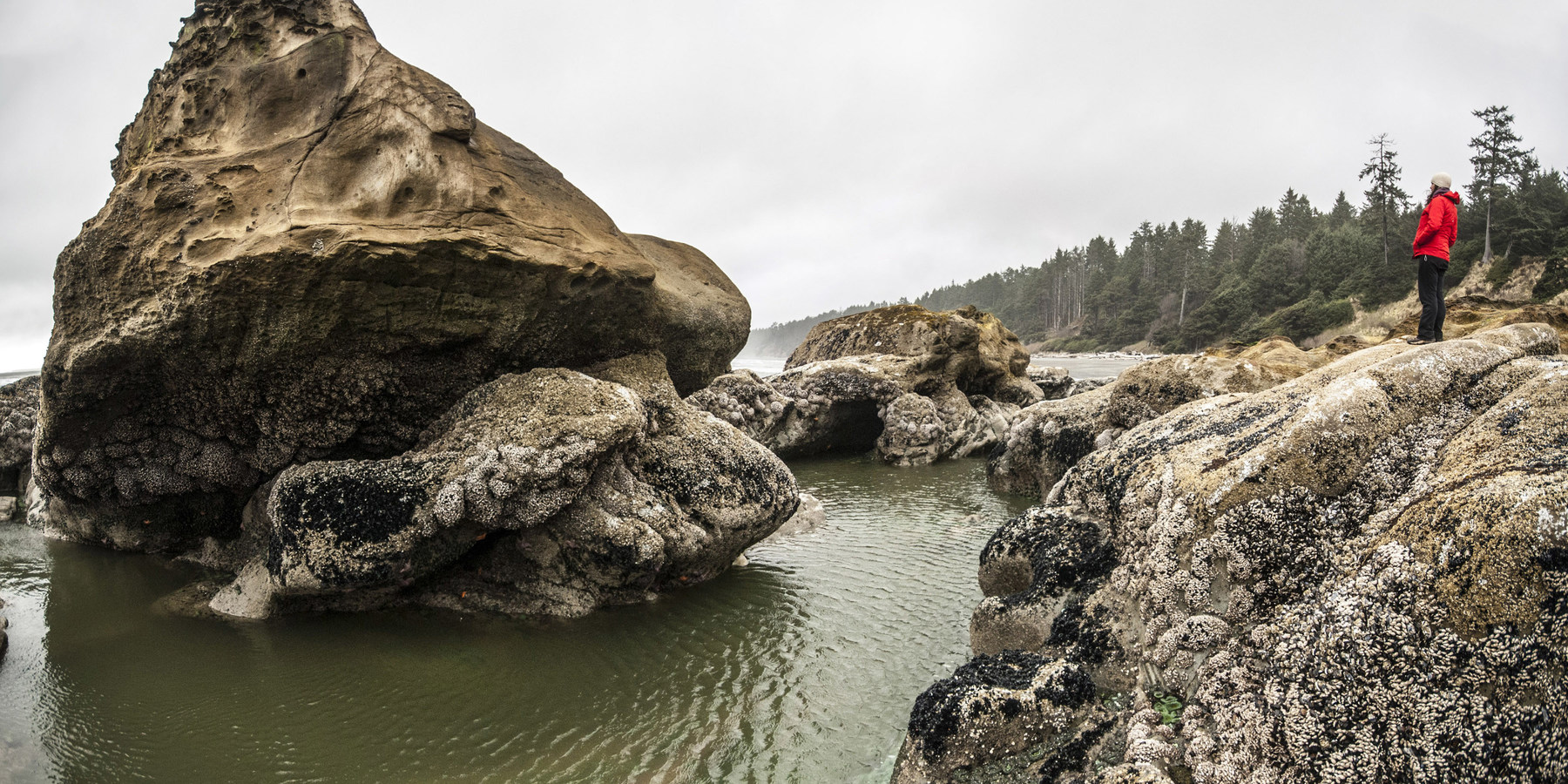 Kalaloch Beach 4 Outdoor Project