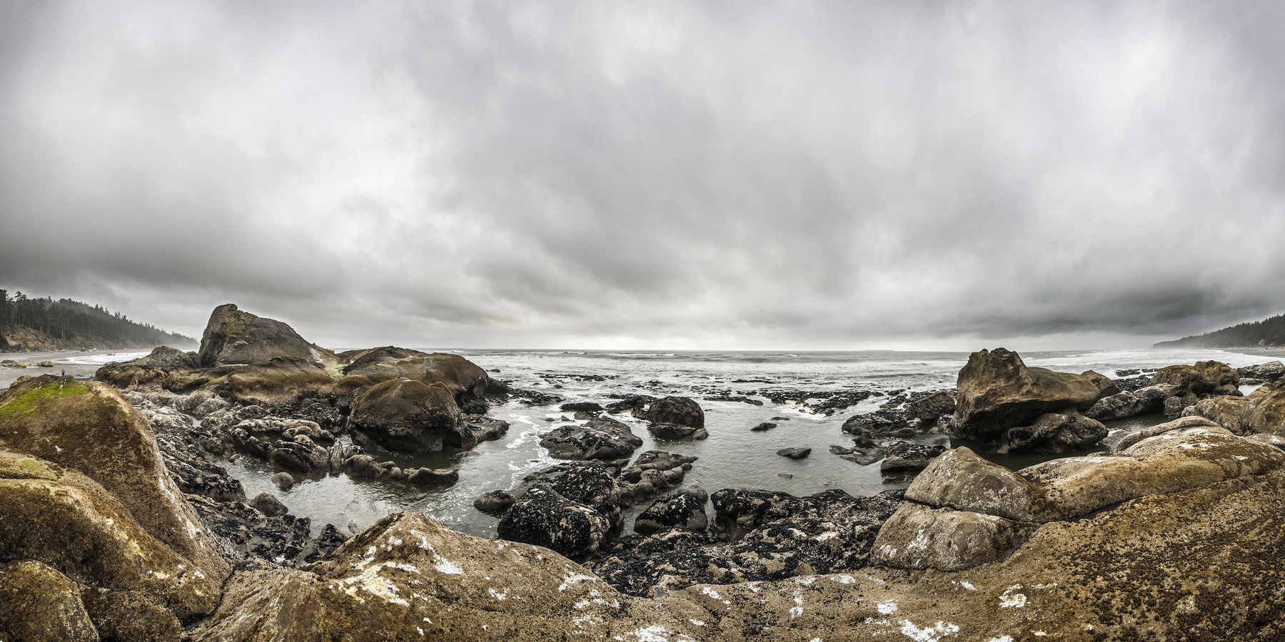 Kalaloch Beach 4 Outdoor Project