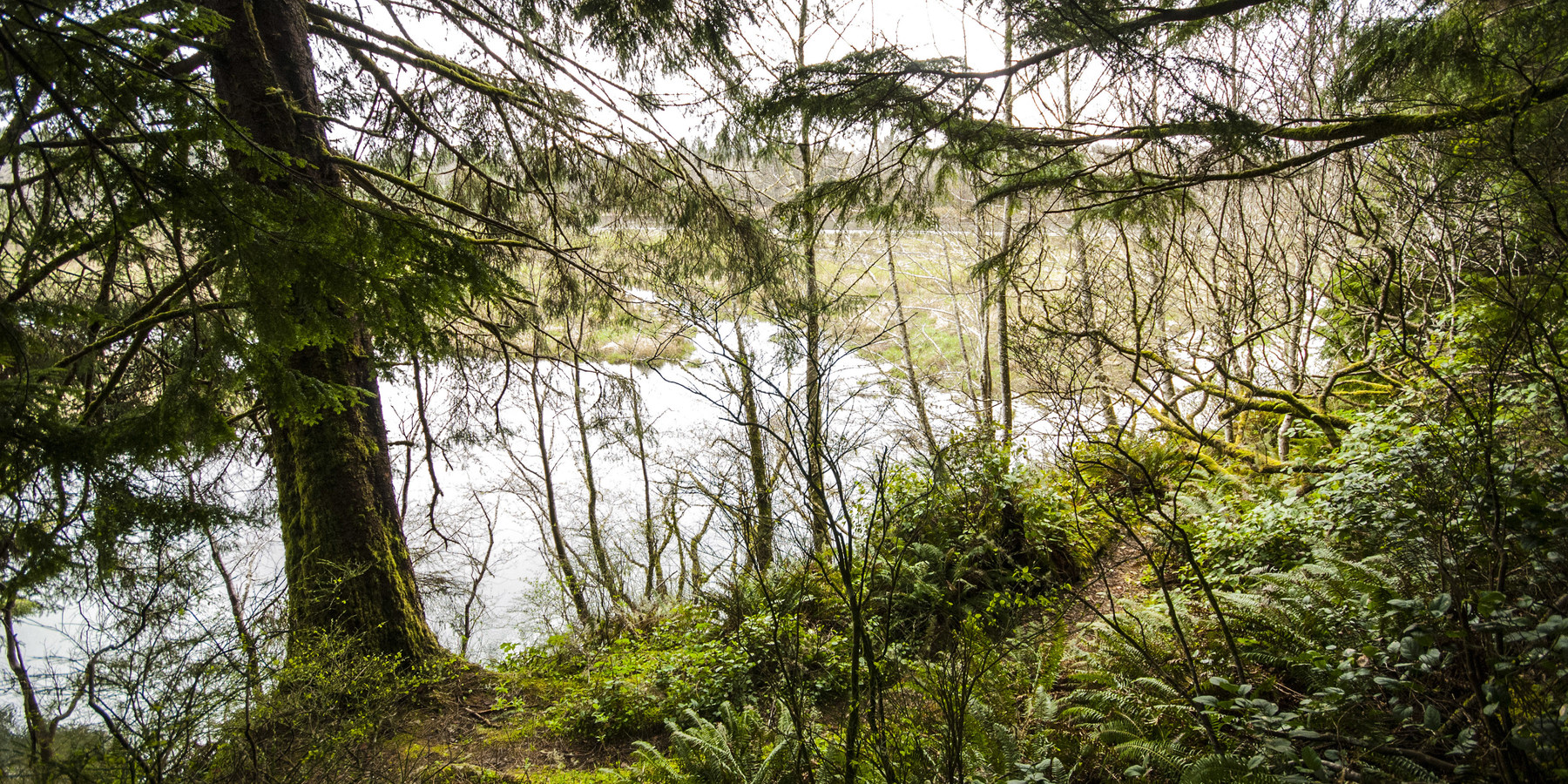 Mora Campground Outdoor Project