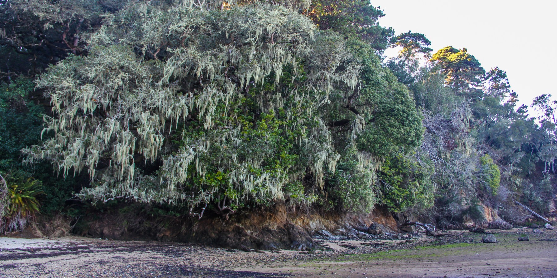 Tomales Bay State Park Outdoor Project