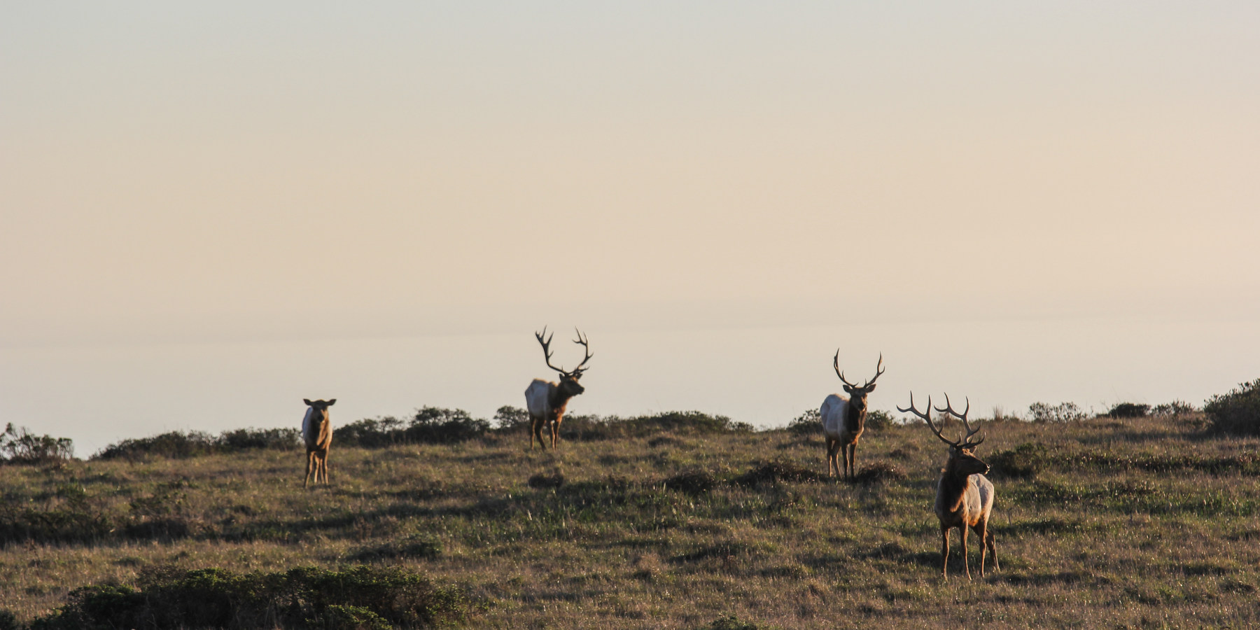 McClures Beach Outdoor Project