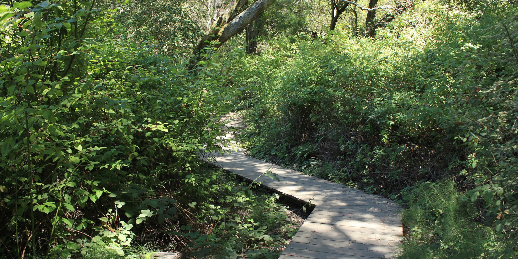 Lake Anza Trail Outdoor Project