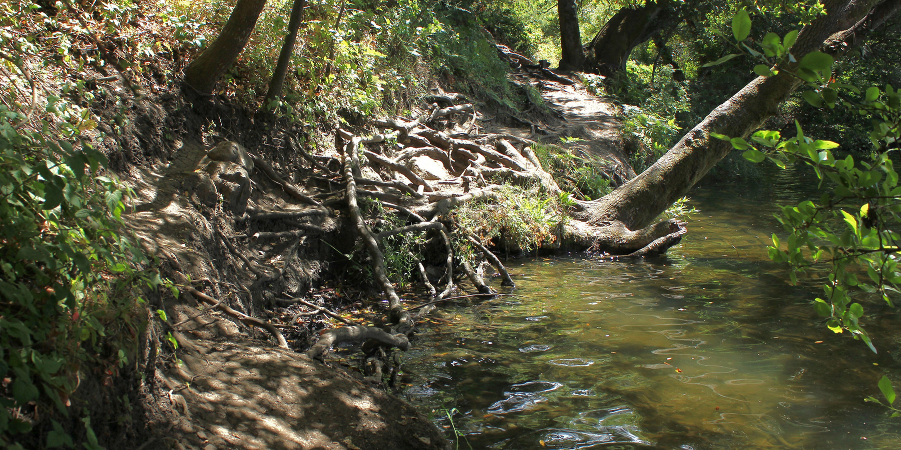 Lake Anza Trail Outdoor Project