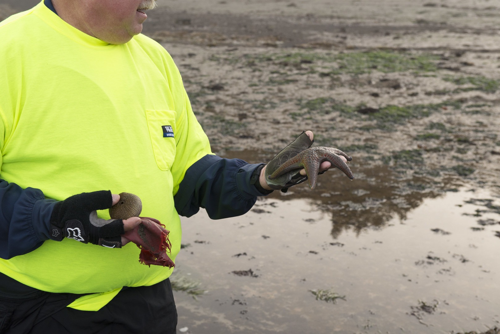 Otter Crest Marine Gardens | Outdoor Project