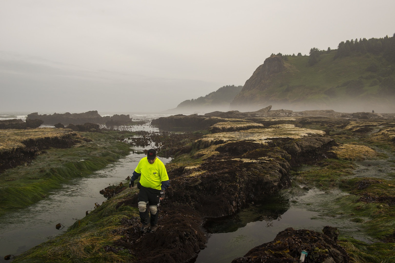 Otter Crest Marine Gardens | Outdoor Project