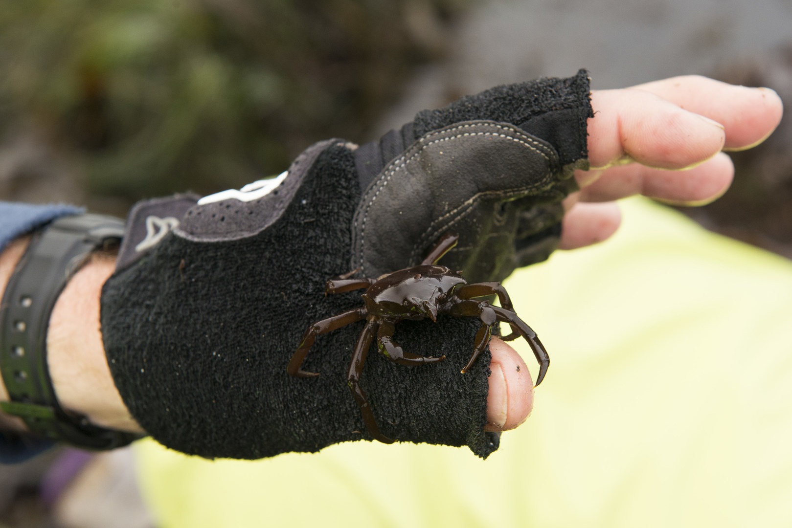 Otter Crest Marine Gardens | Outdoor Project