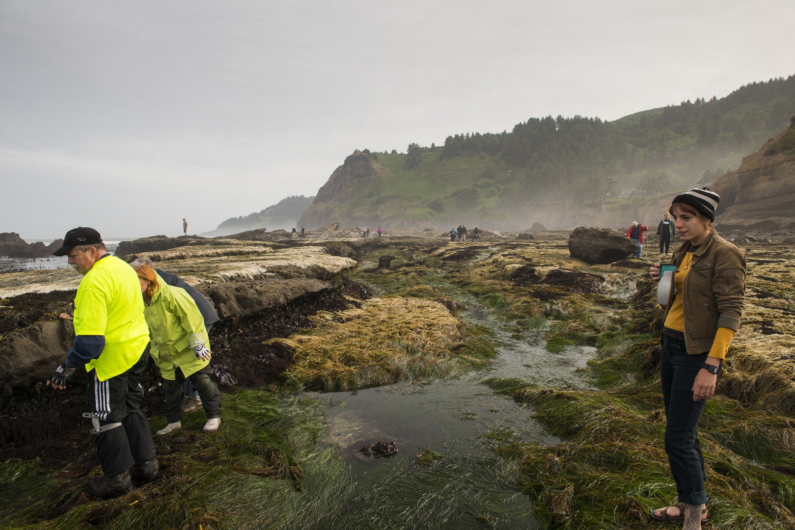 Otter Crest Marine Gardens | Outdoor Project