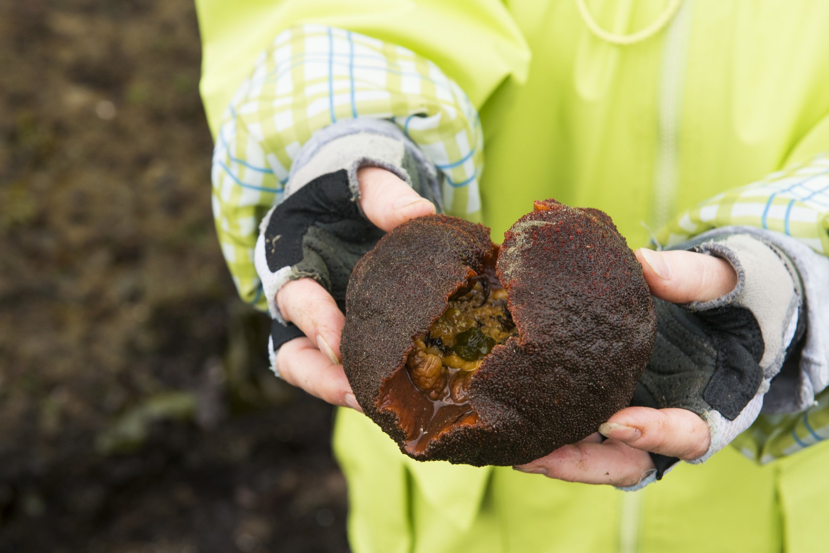 Otter Crest Marine Gardens | Outdoor Project