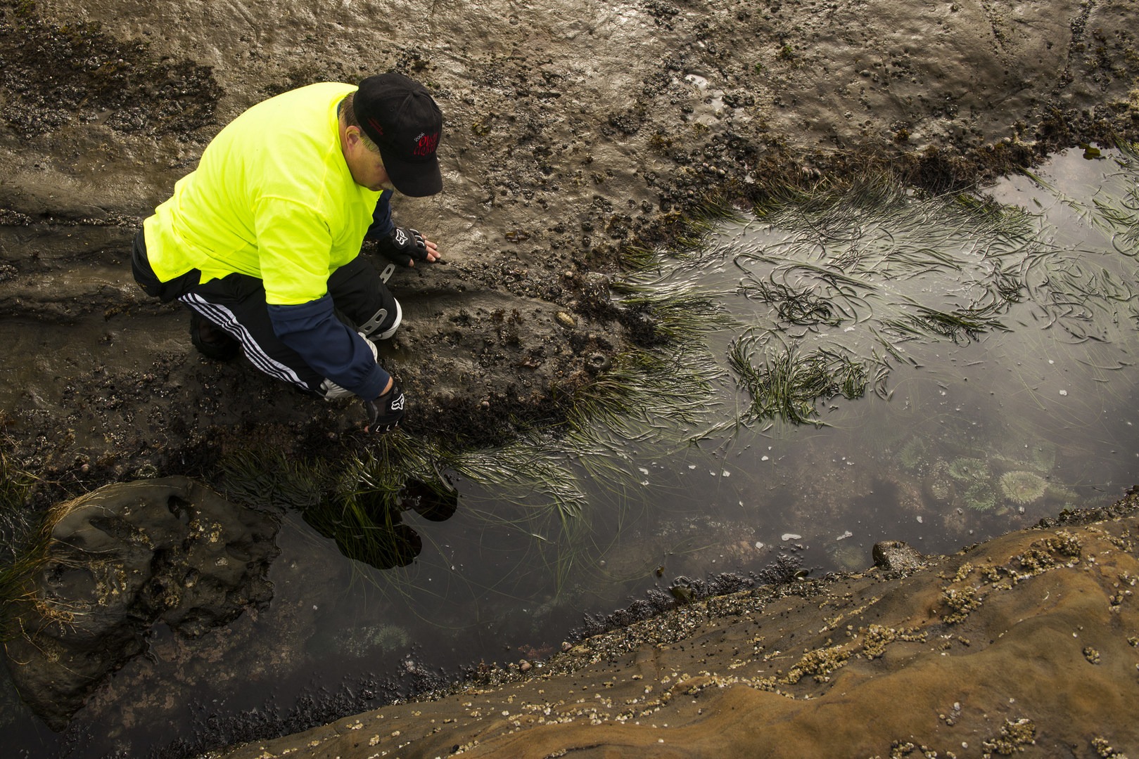 Otter Crest Marine Gardens | Outdoor Project