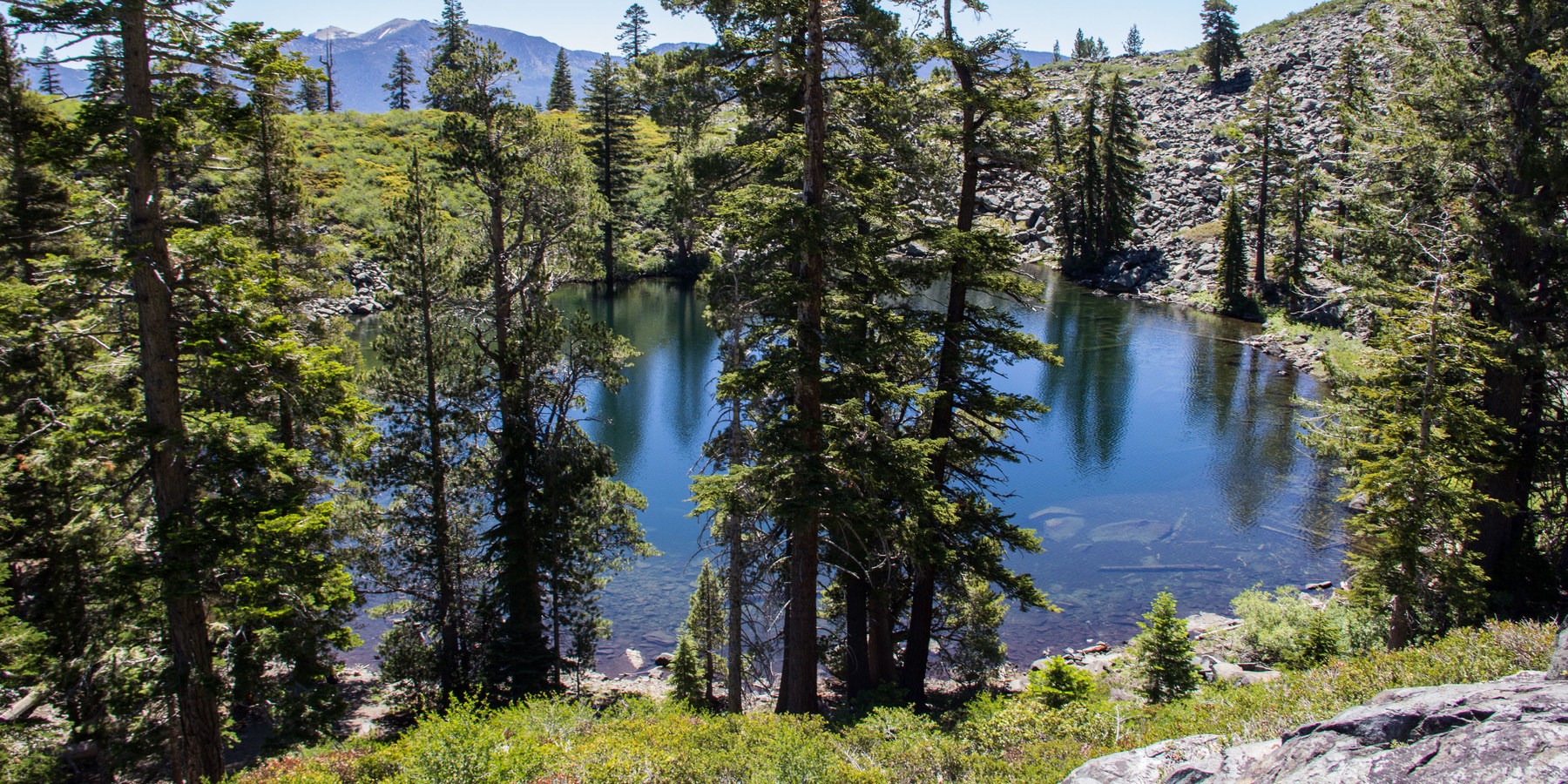 Mount Tallac, Summer Trail | Outdoor Project