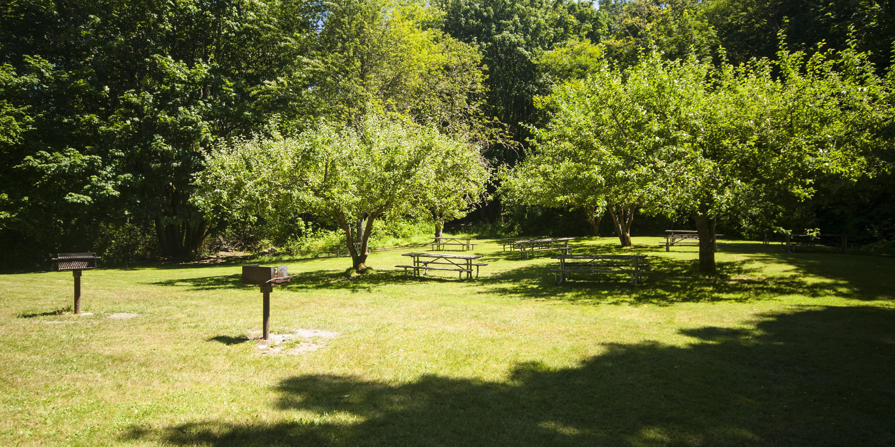 Saint Edward State Park Outdoor Project