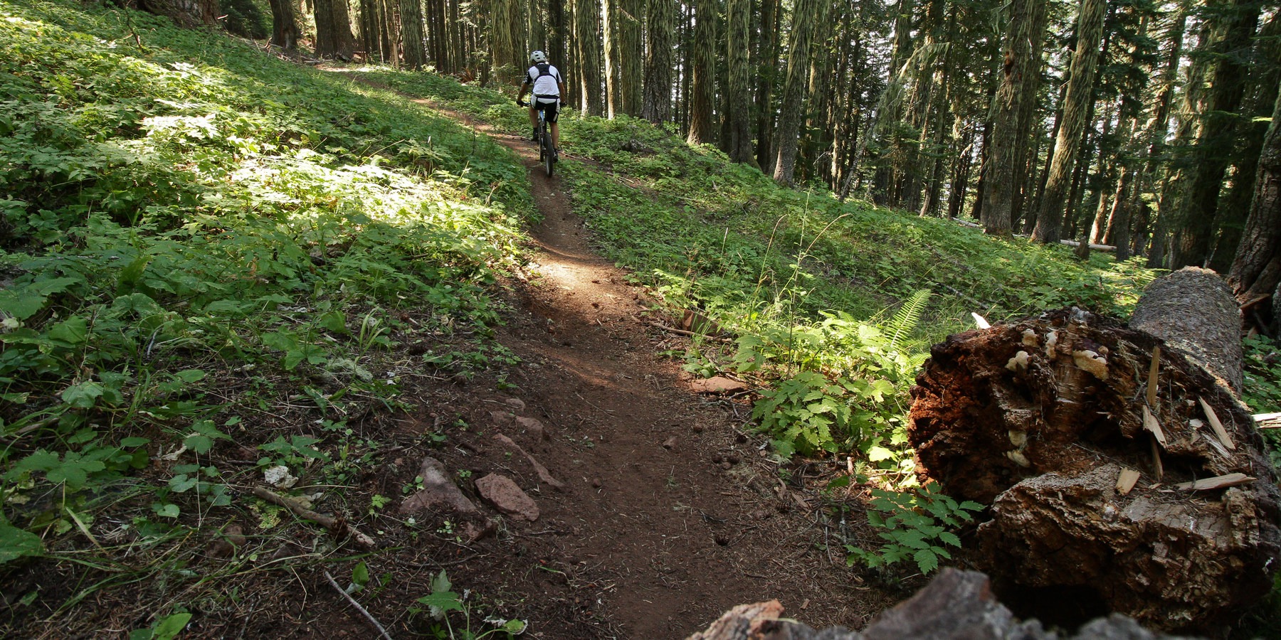 Moon Point Outdoor Project