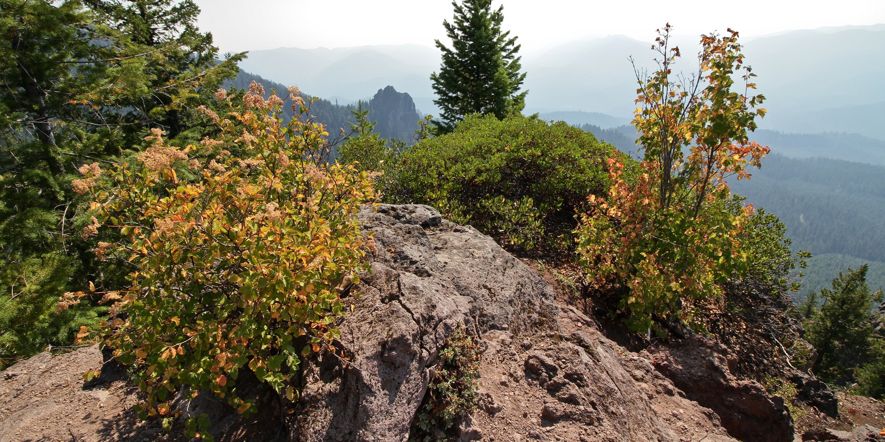 Moon Point Outdoor Project