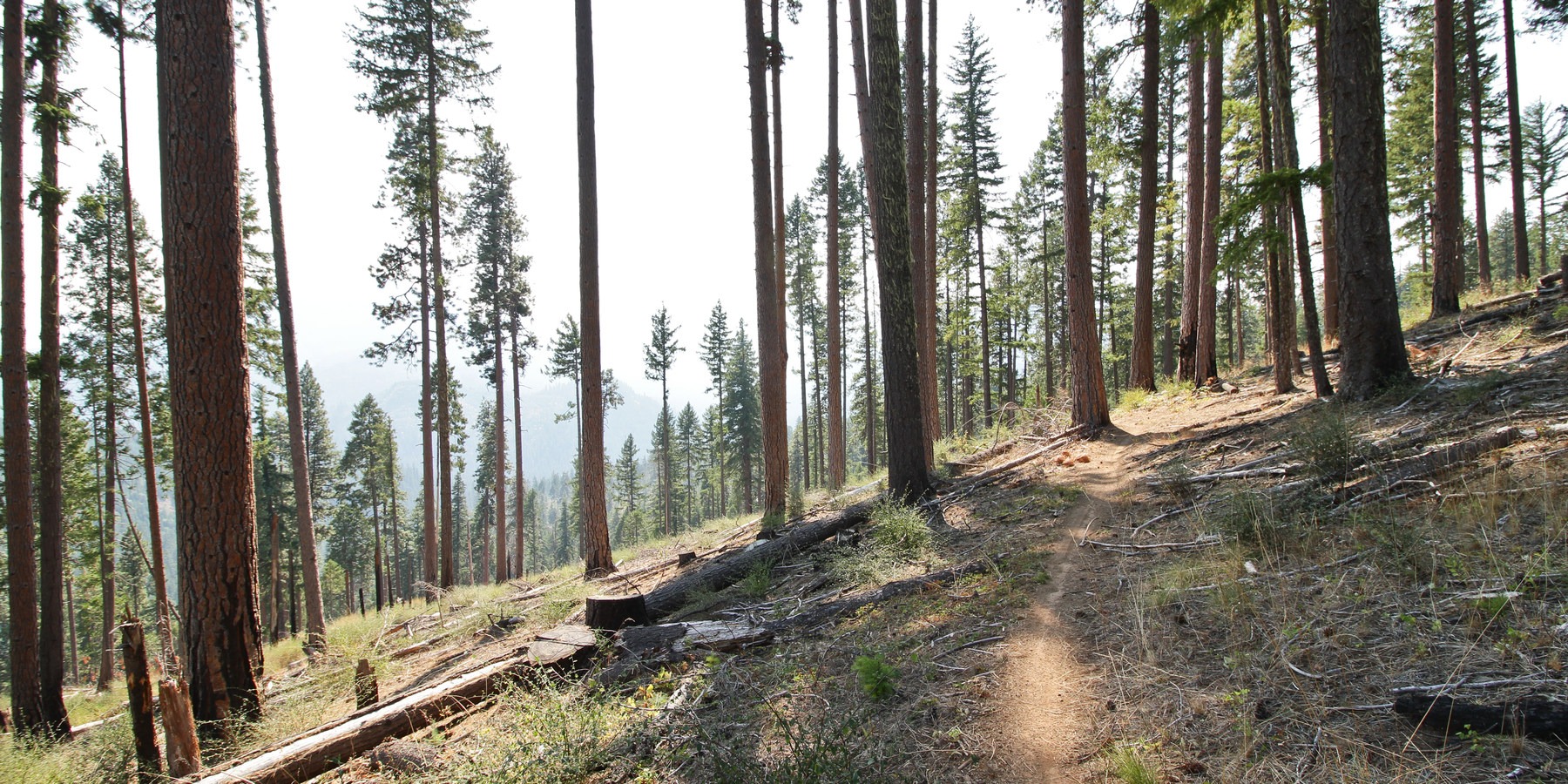 Moon Point Outdoor Project