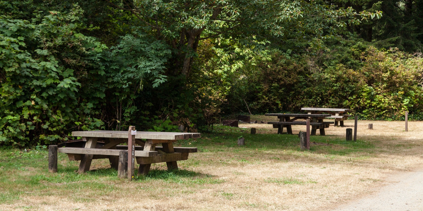 Tahkenitch Landing Campground Outdoor Project
