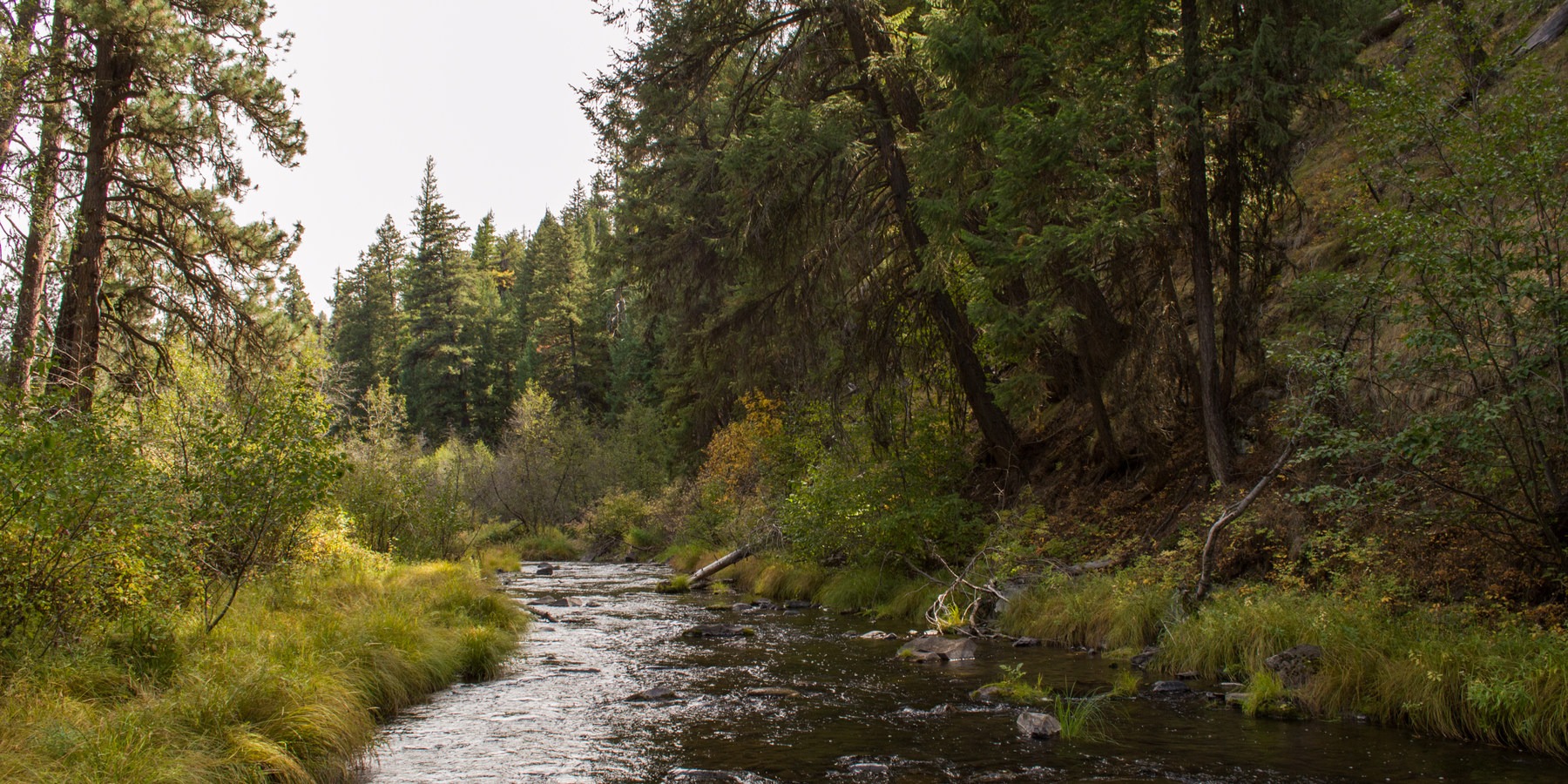 Middle Fork Campground Outdoor Project