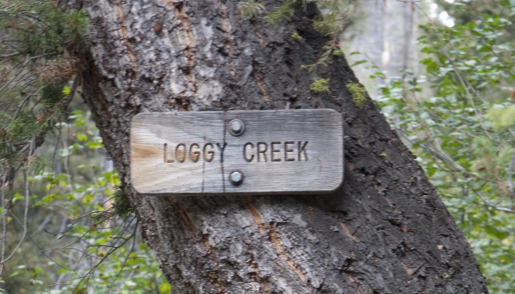Smiley Creek to Big Smoky "Loop" Outdoor Project