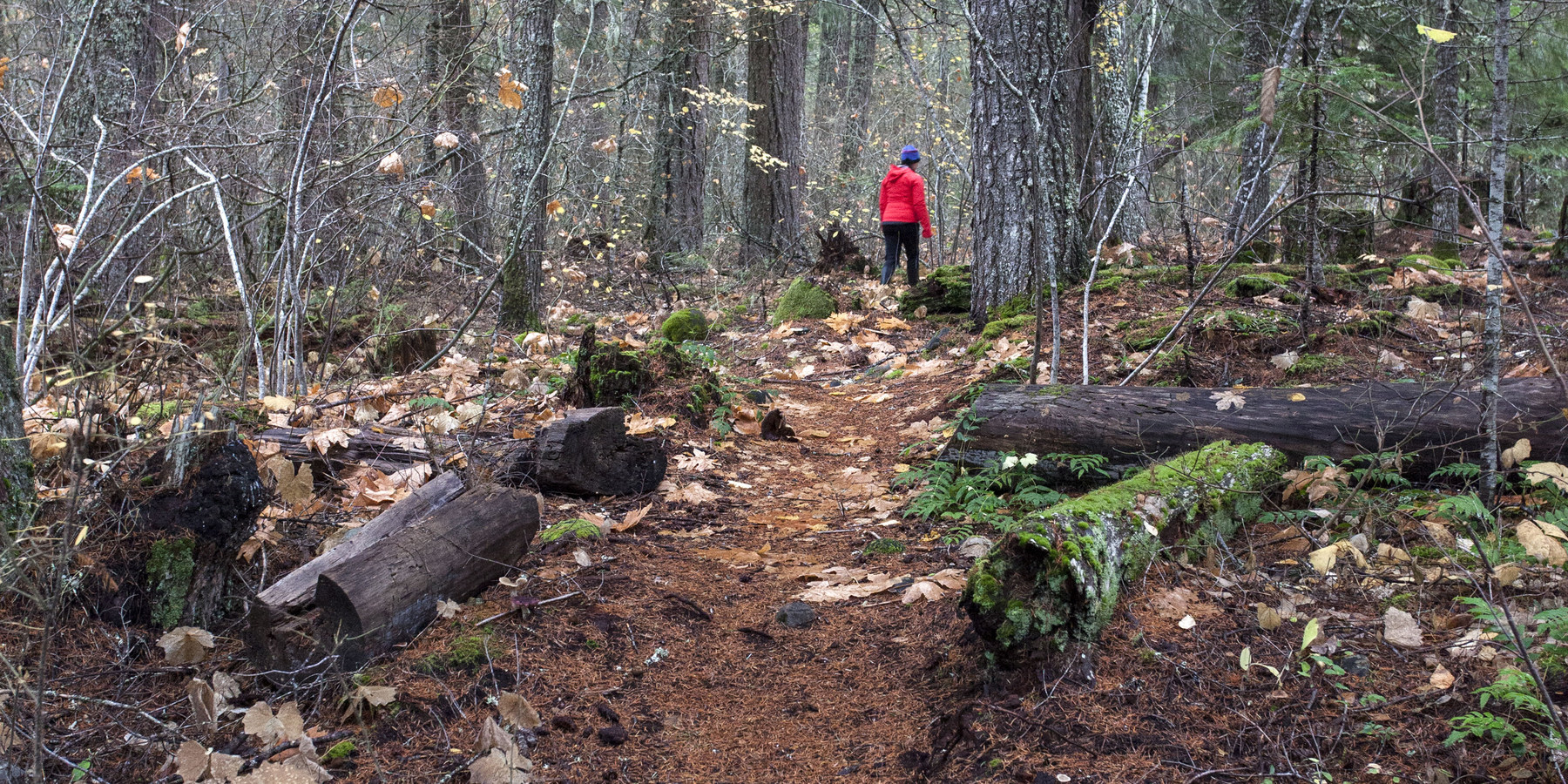 Trout Lake Creek Campground Outdoor Project