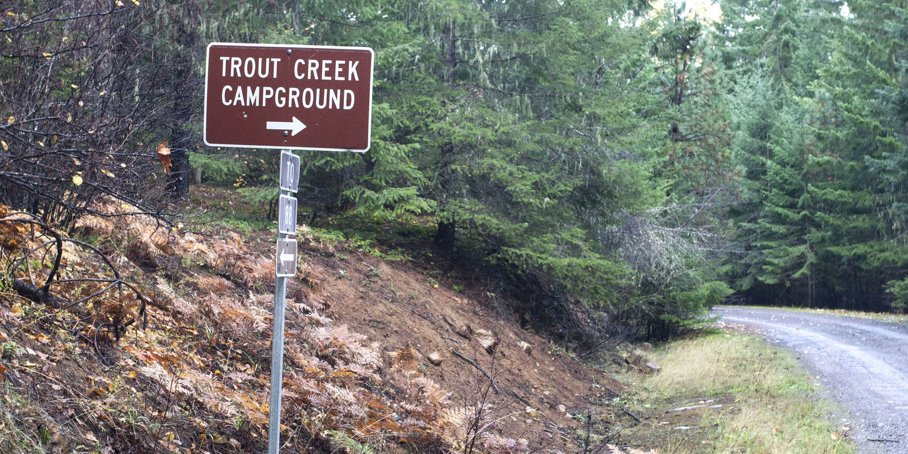 Trout Lake Creek Campground Outdoor Project