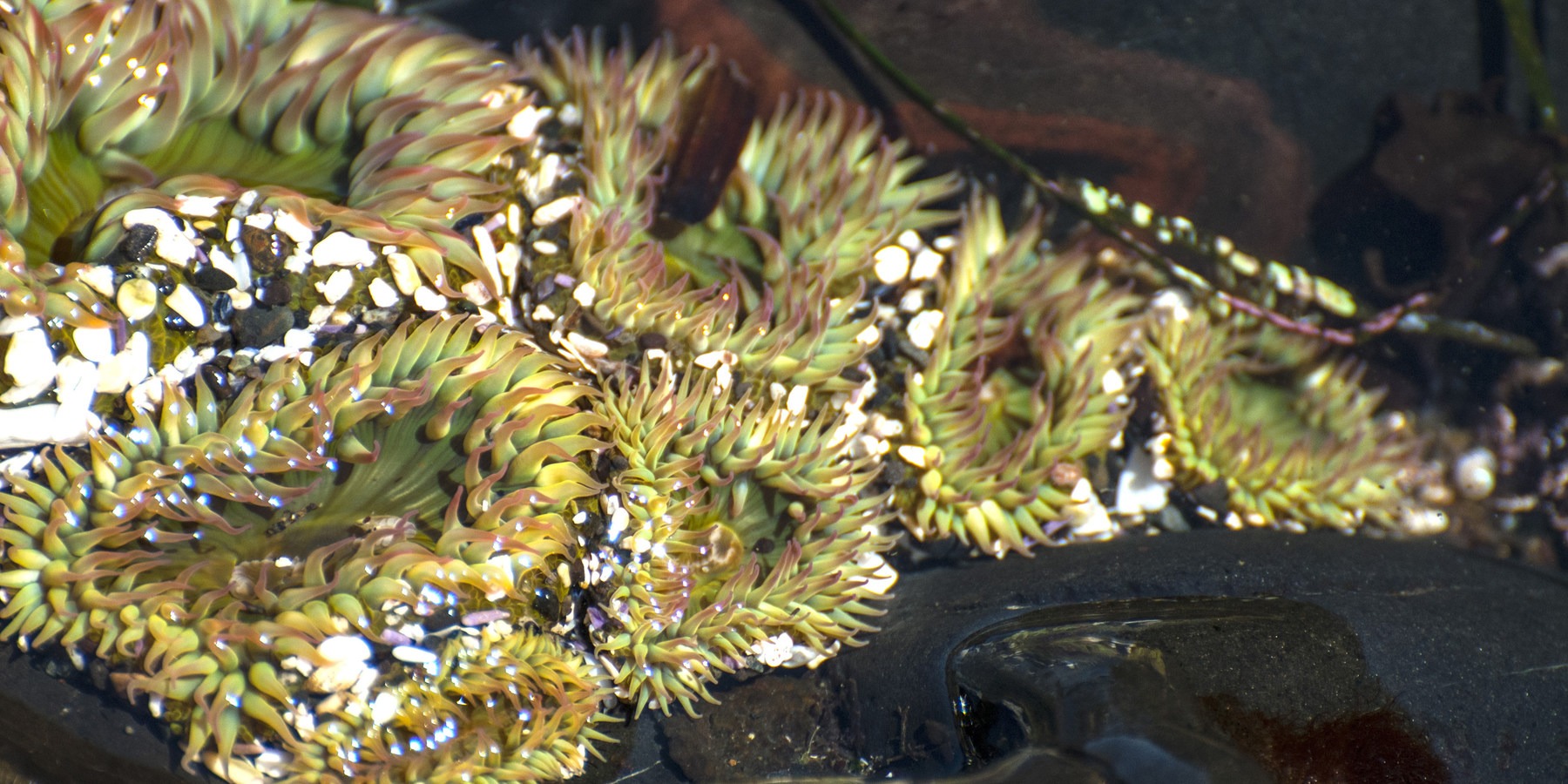 Tongue Point | Outdoor Project