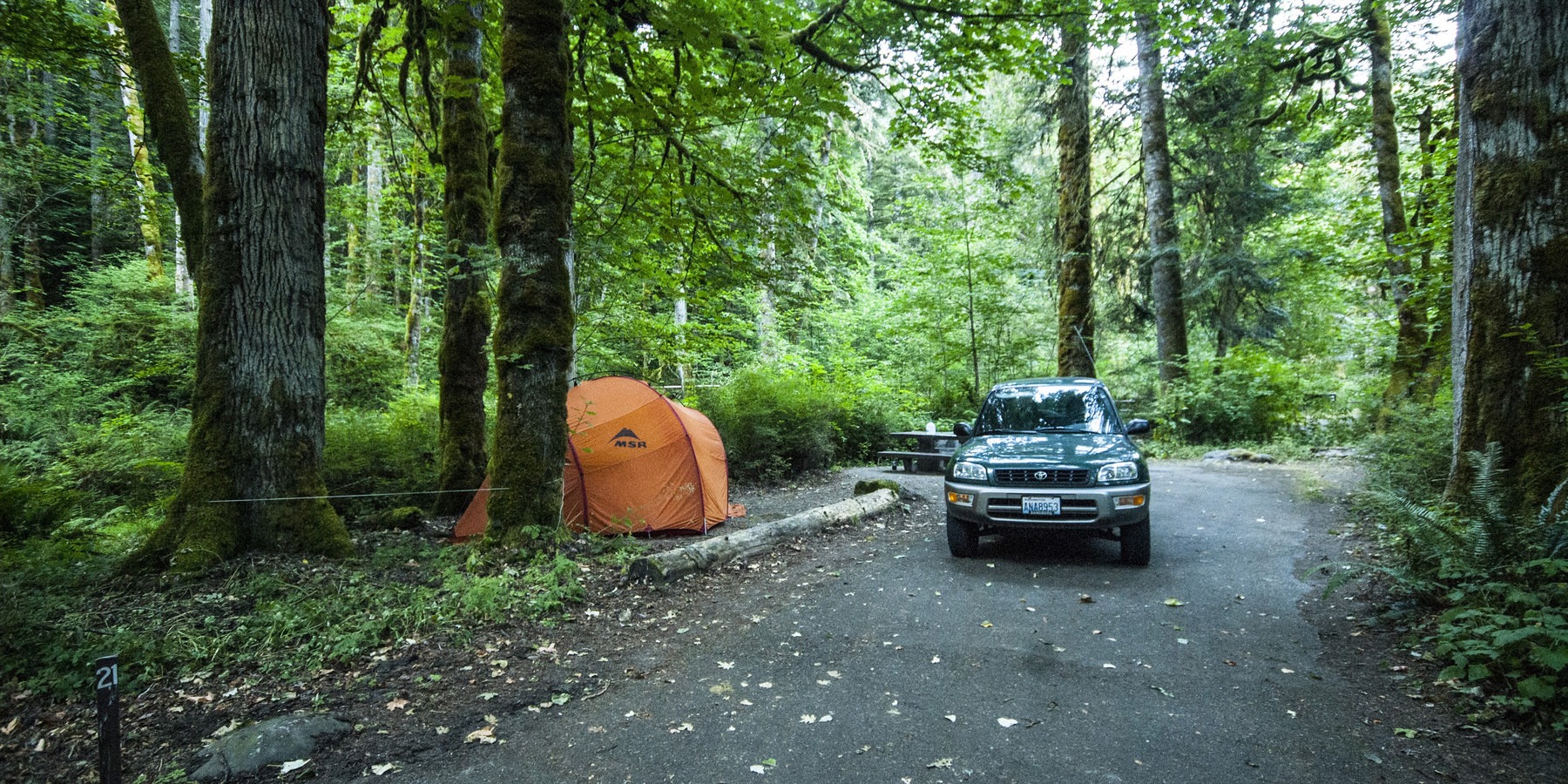 Elwha Campground | Outdoor Project