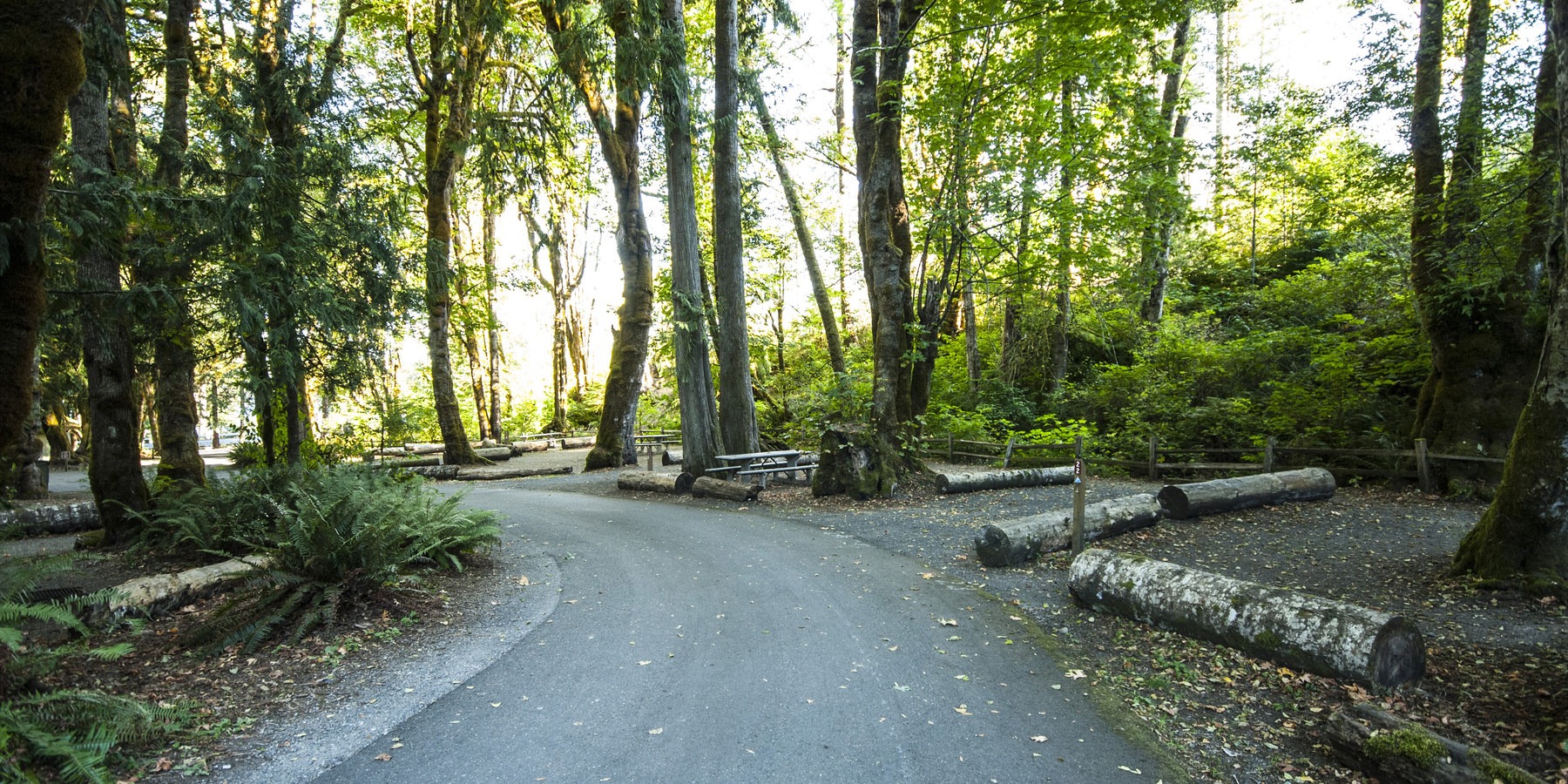 Potlatch State Park Outdoor Project