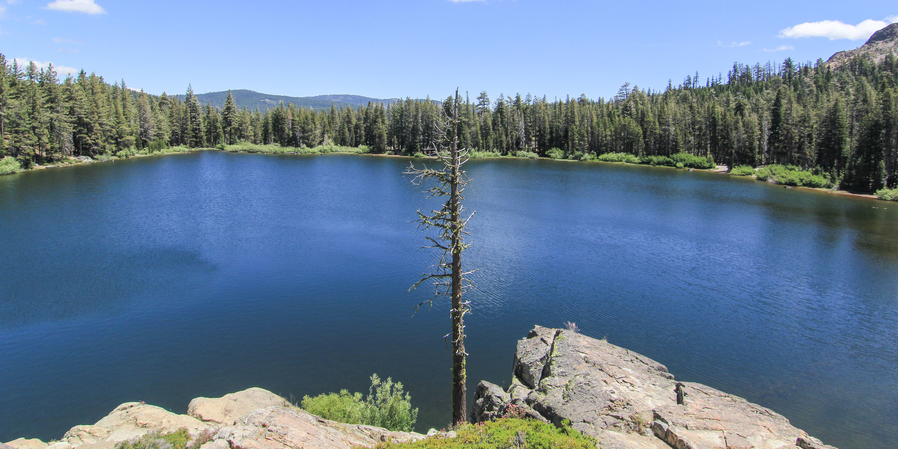 Packer Lake Day Use Area Outdoor Project