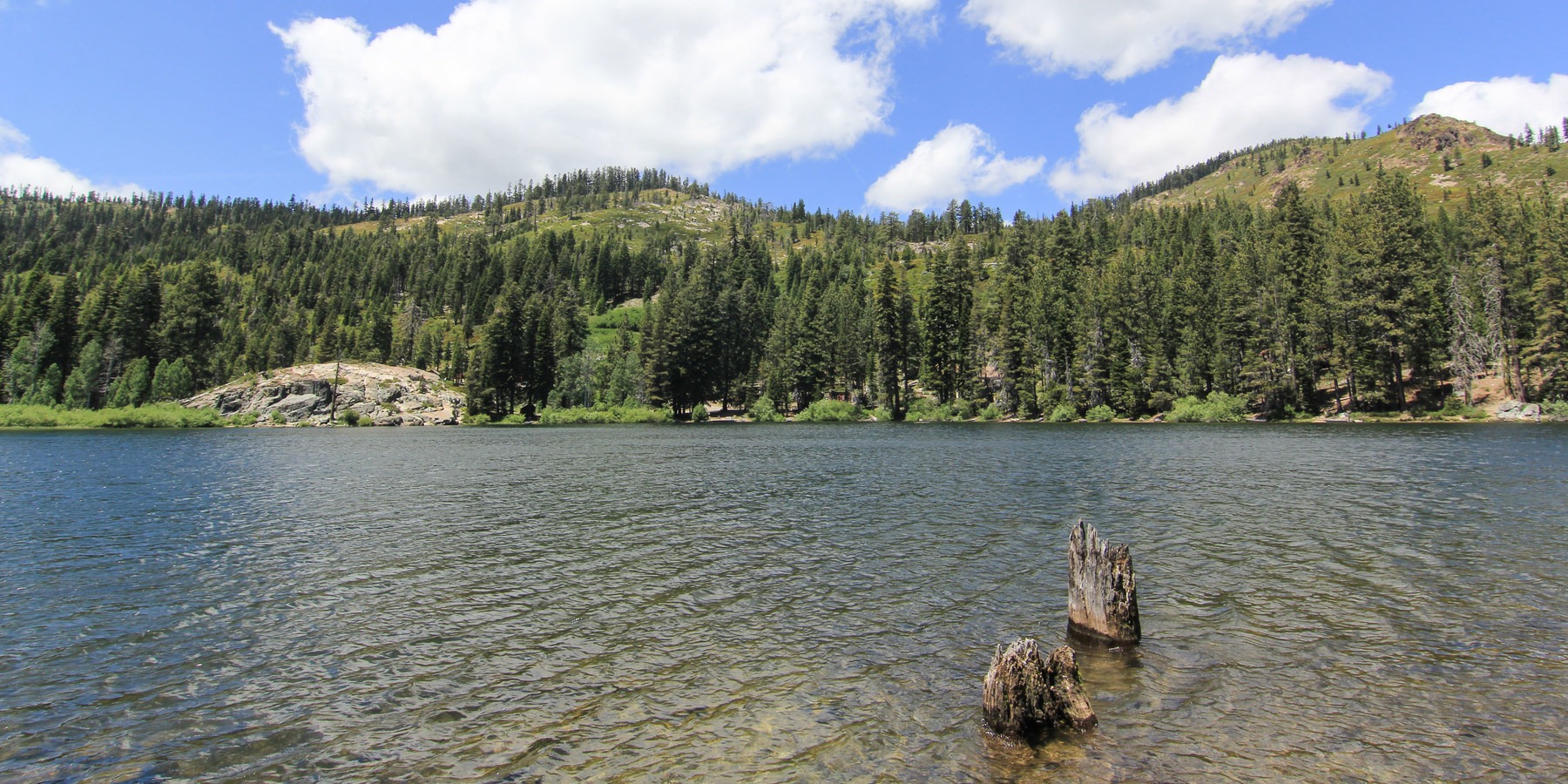 Packer Lake Day Use Area Outdoor Project