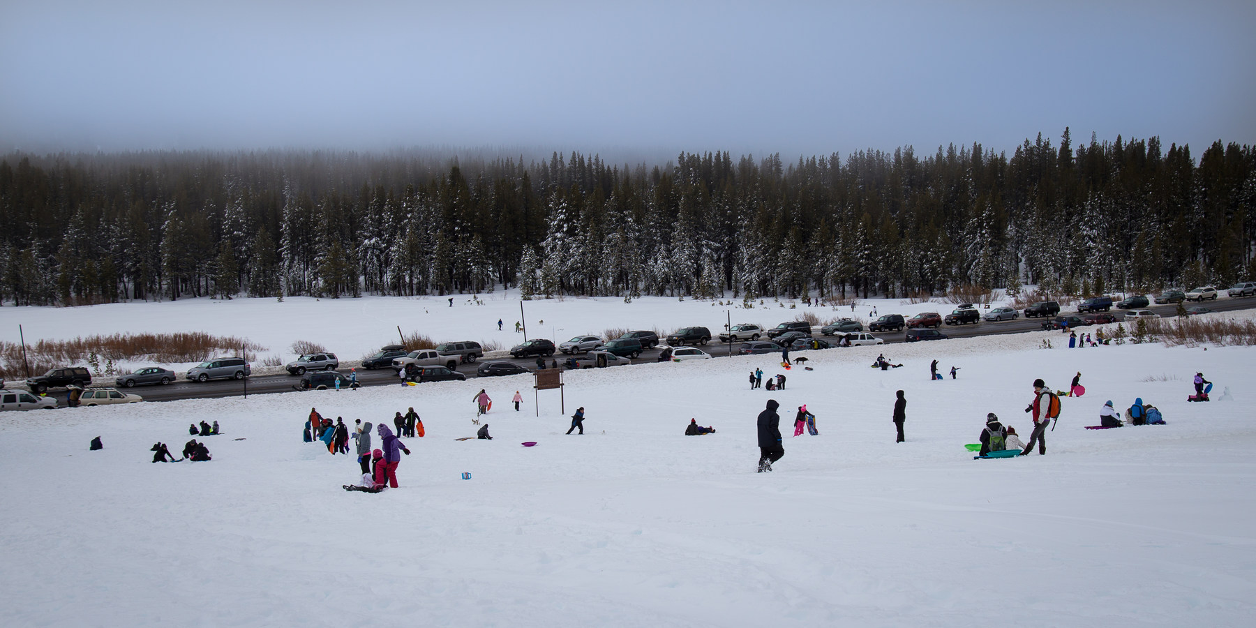 Tahoe Meadows Outdoor Project