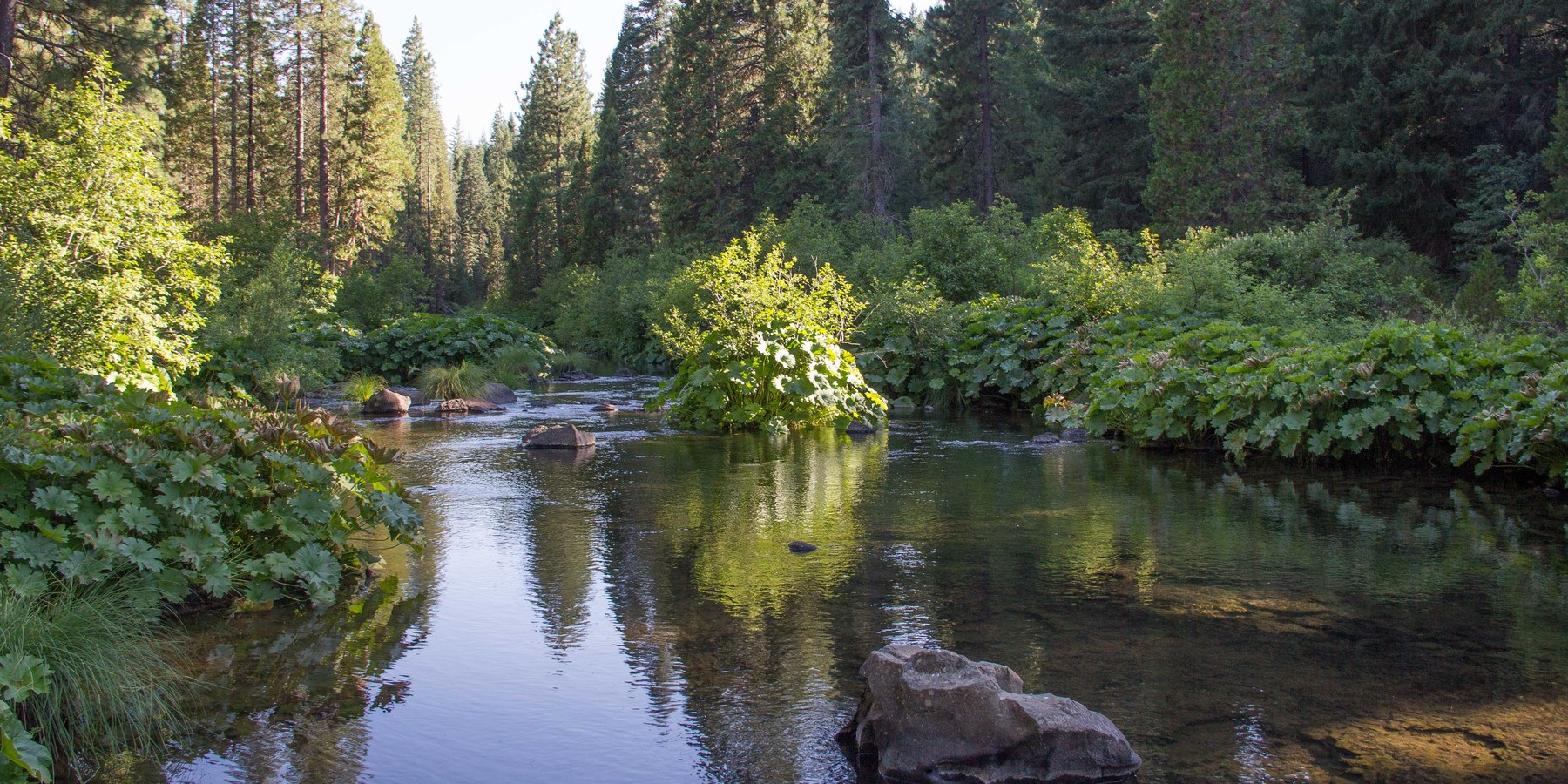 McCloud River Upper Falls Outdoor Project