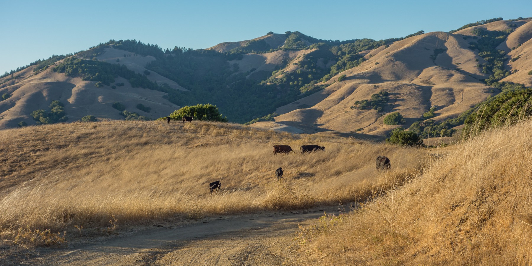 Loma Alta Outdoor Project