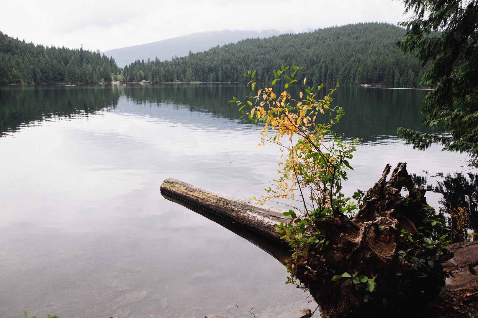 Sasamat Lake Outdoor Project