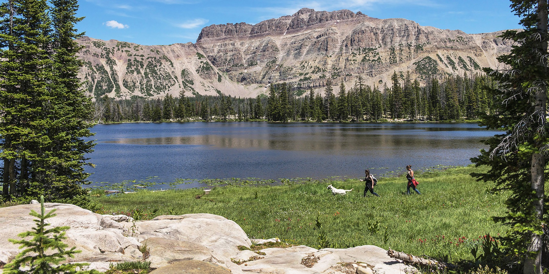 Ruth Lake Outdoor Project