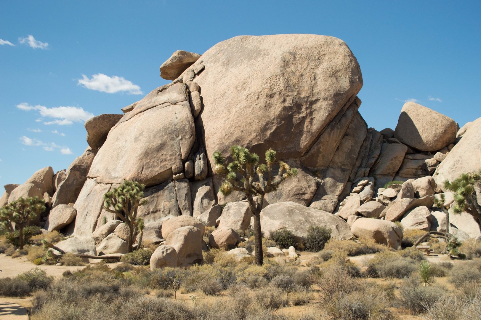 Cap Rock Nature Trail Outdoor Project