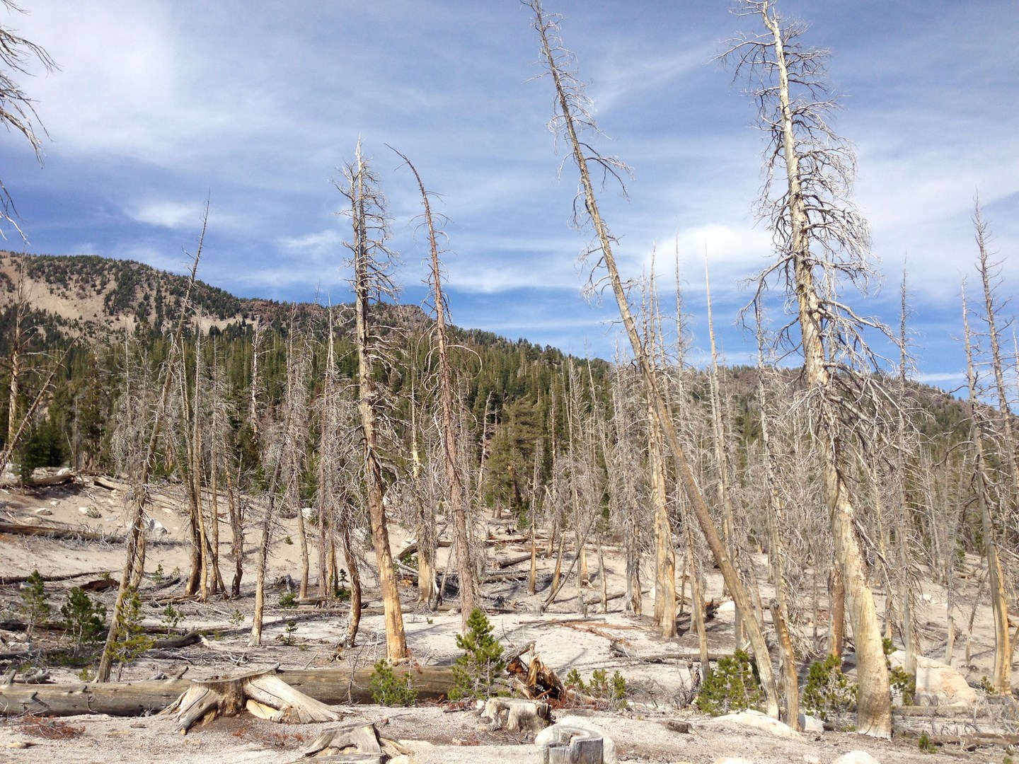 McLeod Lake Trail Outdoor Project