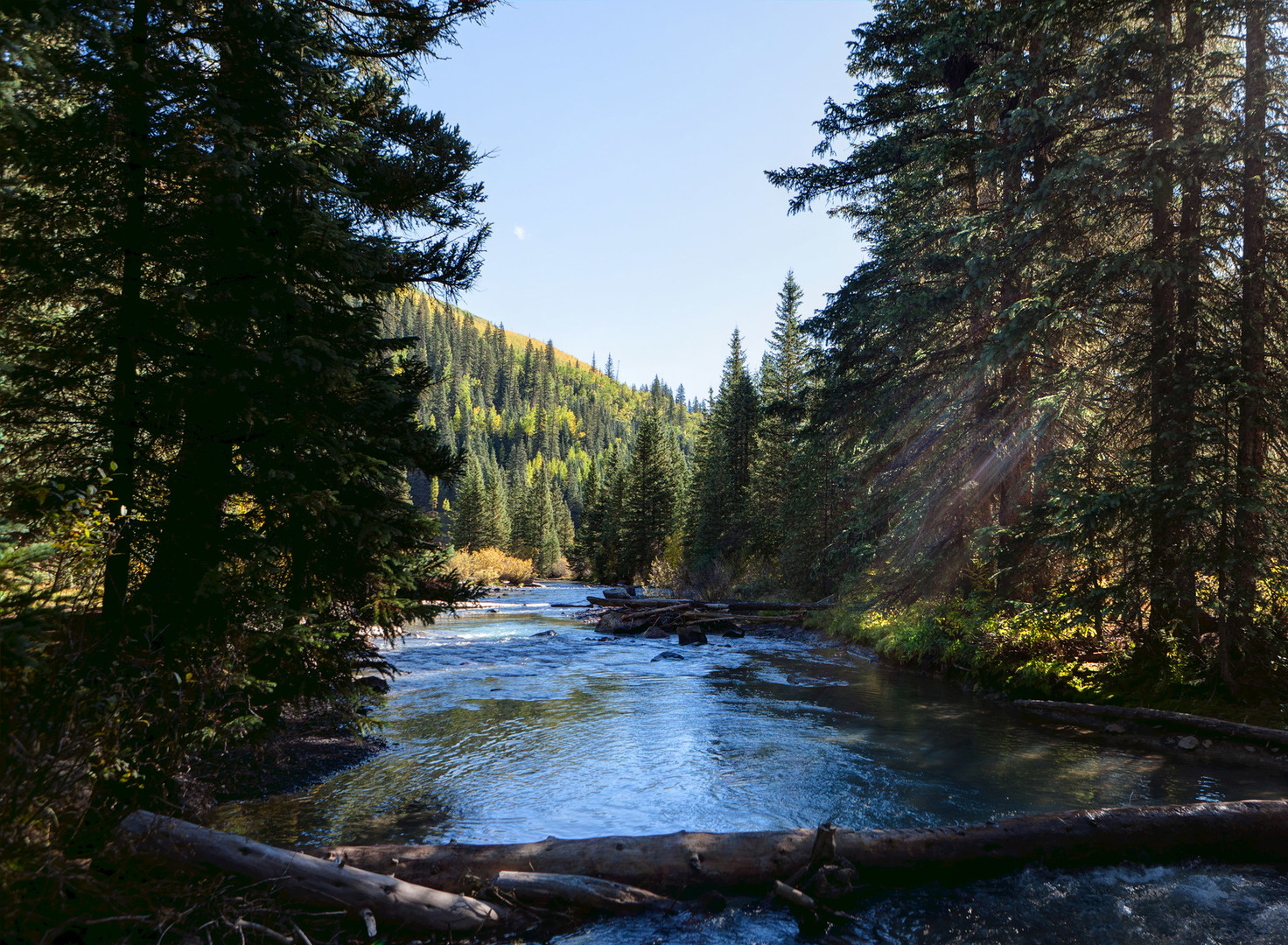 South Fork Mineral Creek Outdoor Project