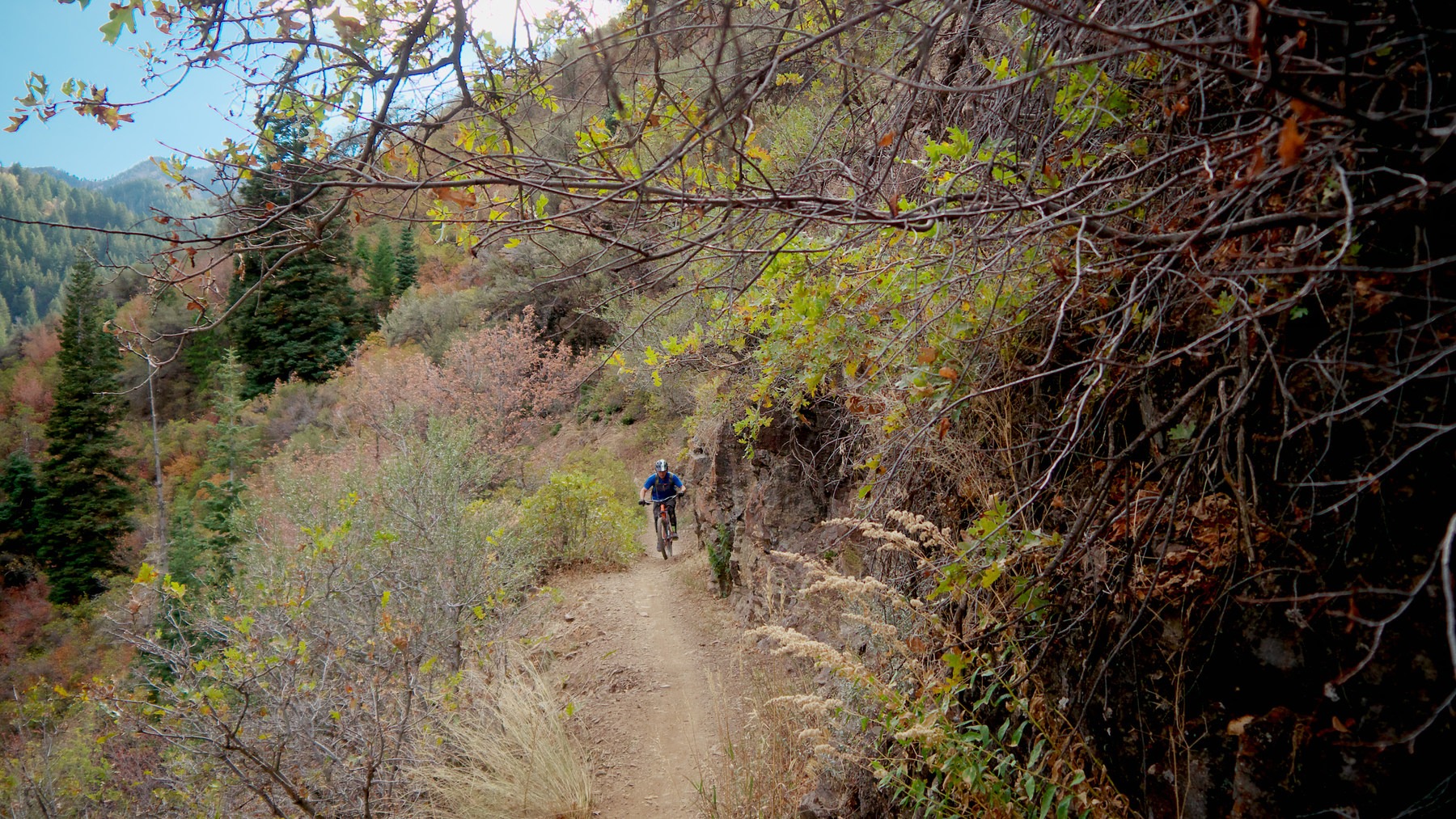 Mill Creek Pipeline Mountain Bike Trail via Rattlesnake Gluch Outdoor
