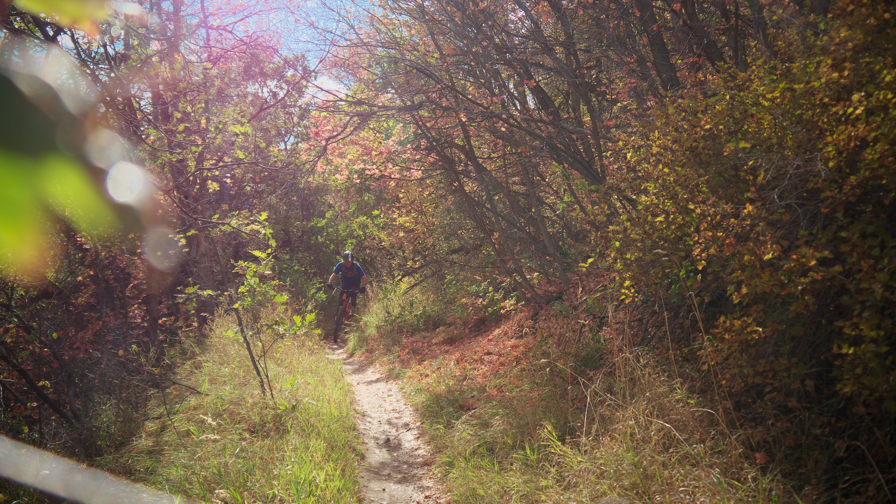Mill Creek Pipeline Mountain Bike Trail via Rattlesnake Gluch Outdoor