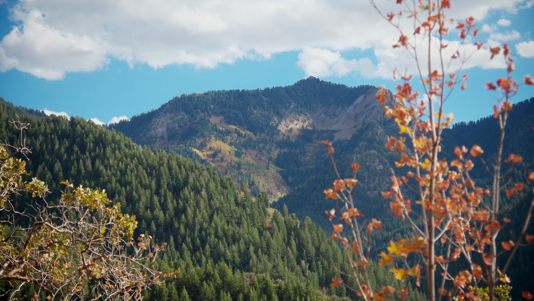 Mill Creek Pipeline Mountain Bike Trail via Rattlesnake Gluch Outdoor