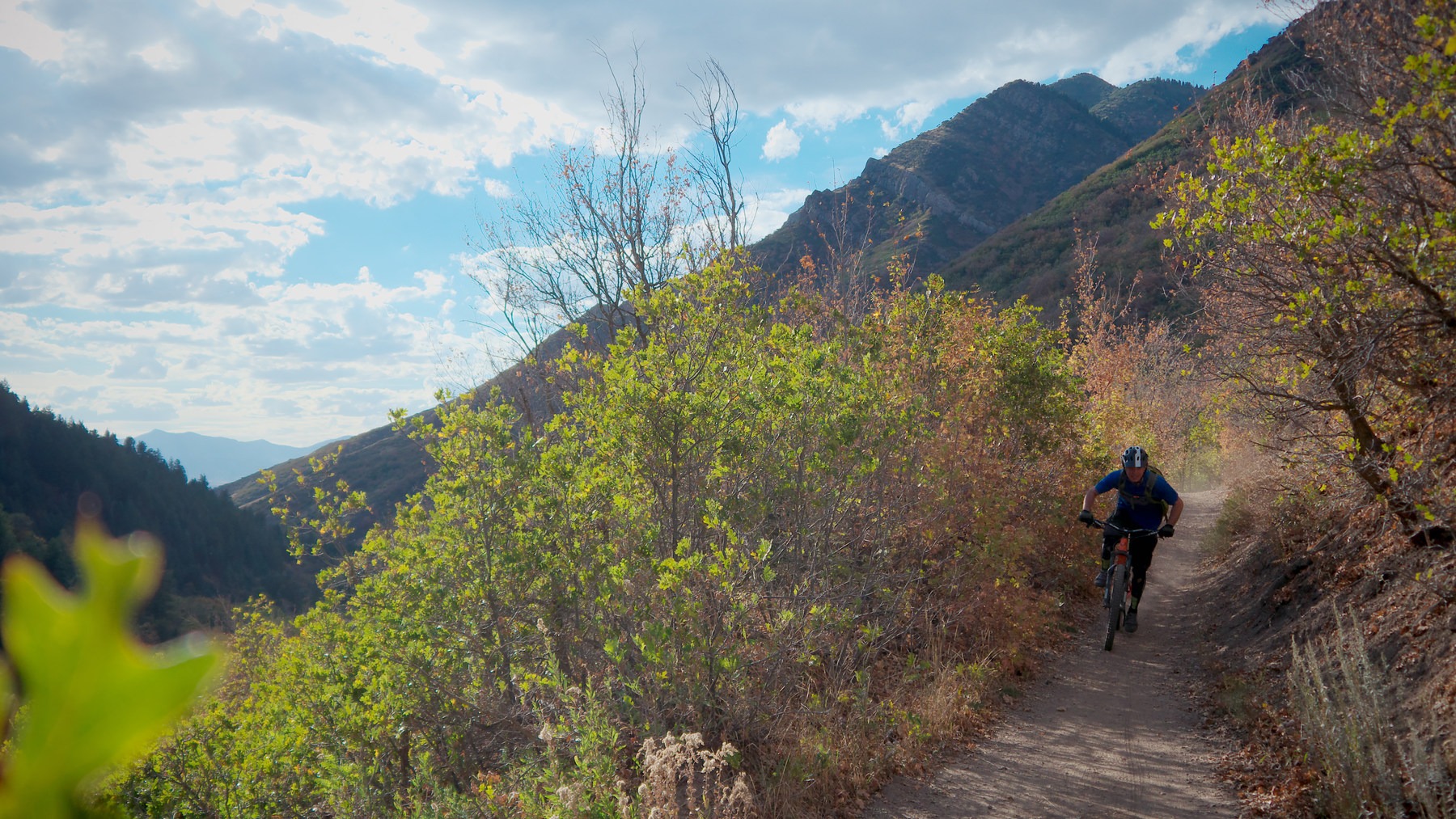 Mill Creek Pipeline Mountain Bike Trail via Rattlesnake Gluch Outdoor