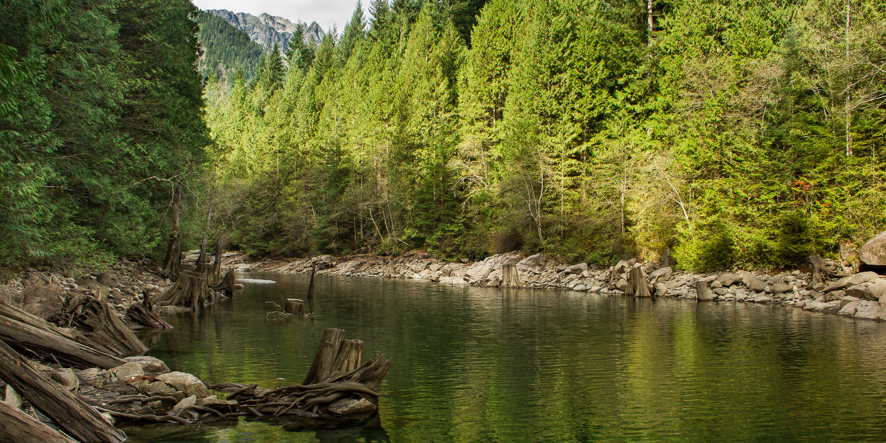 Gold Creek Campground Outdoor Project