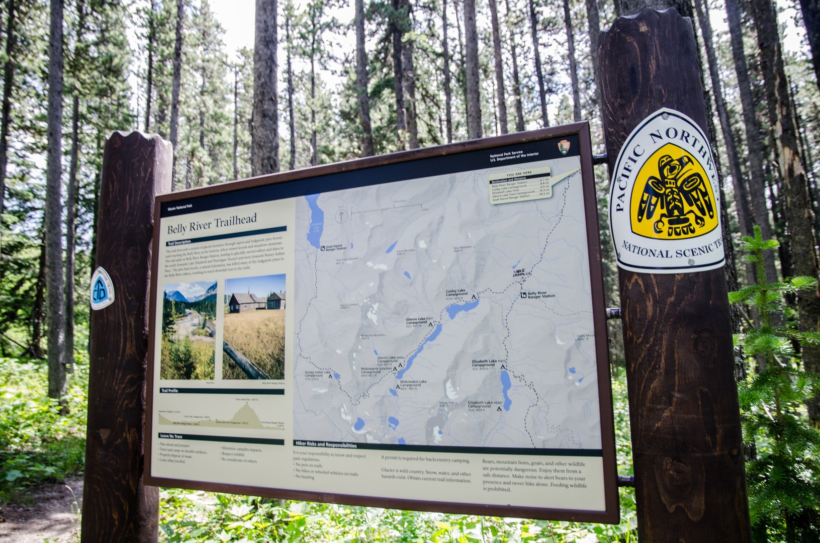 Pacific Northwest National Scenic - 01 Glacier 4638 