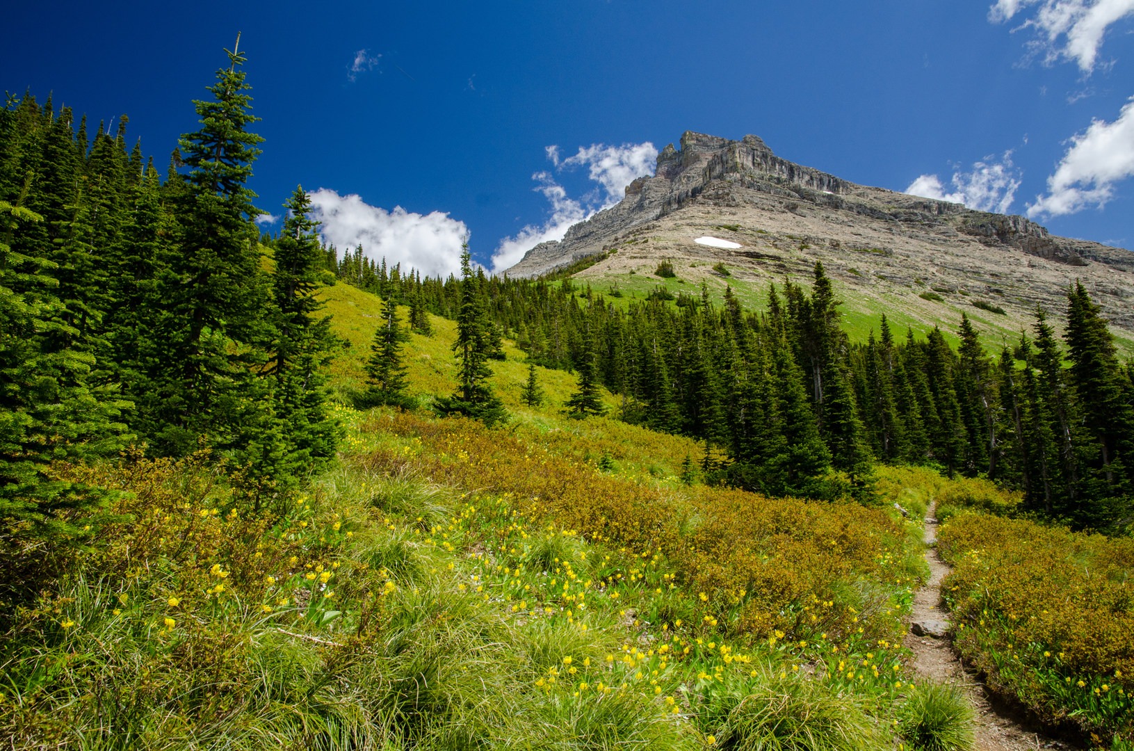 Pacific Northwest National Scenic - 01 Glacier 4798 