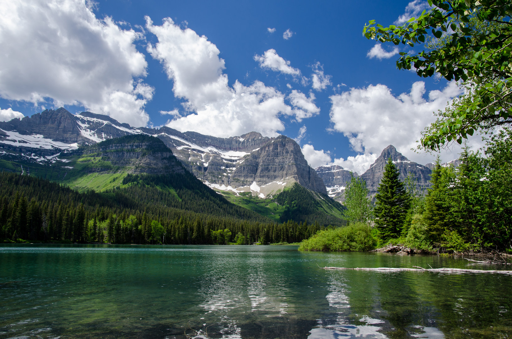 Pacific Northwest National Scenic - 01 Glacier 4853 