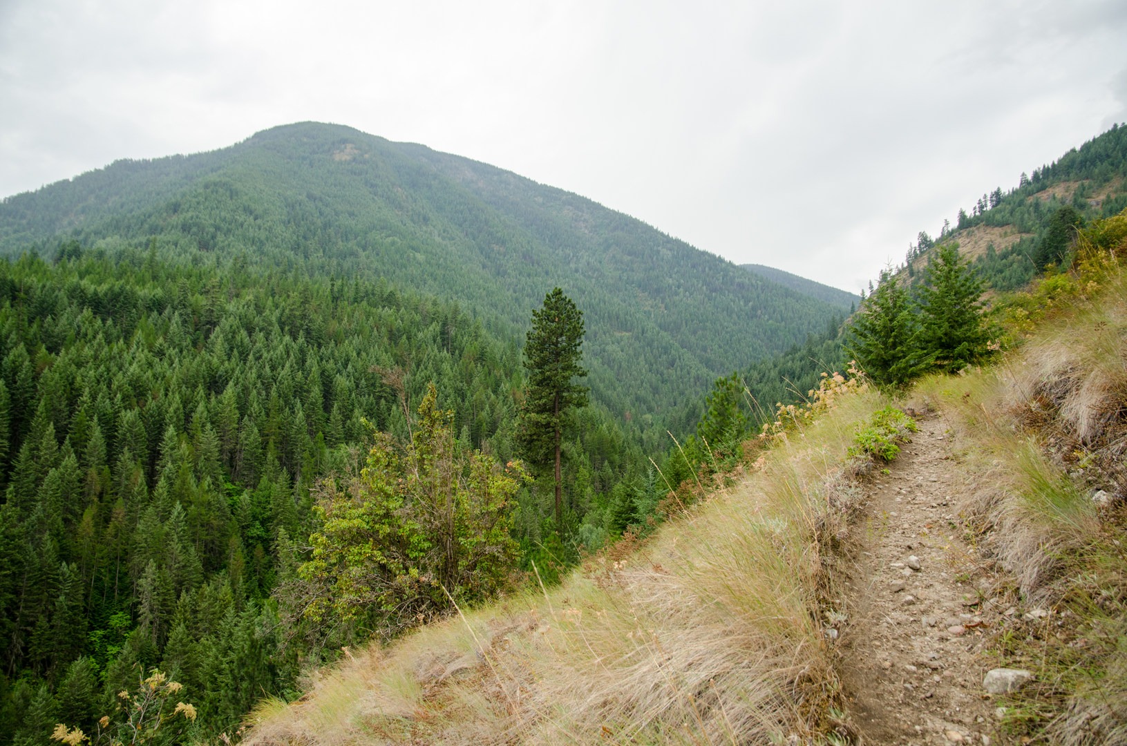 Pacific Northwest National Scenic - Bonners Metaline 5528 