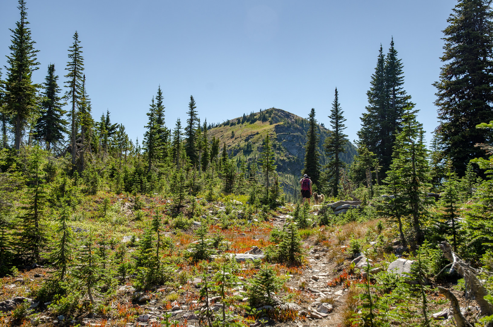 Pacific Northwest National Scenic - Metaline Northport 5895 