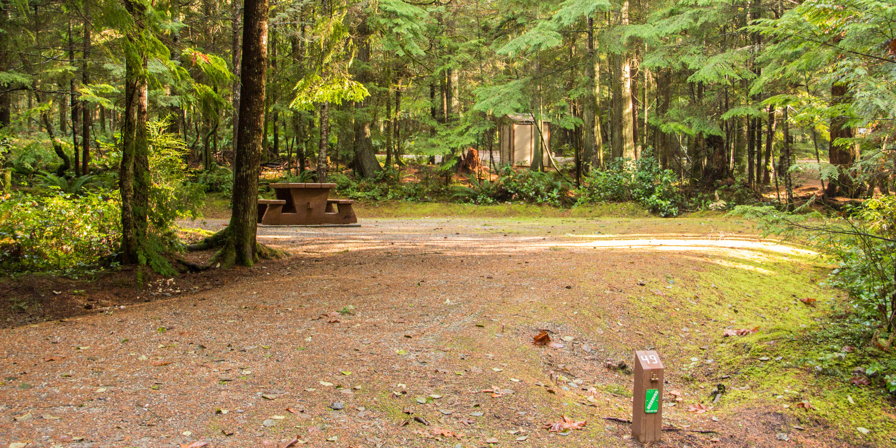 Porpoise Bay Provincial Park Campground Outdoor Project